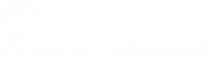 easyfind logo